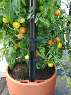 Gardener’s Victory Self-Watering Planter With Support System -Gardenhaus Shop 8598384 01EMP tif