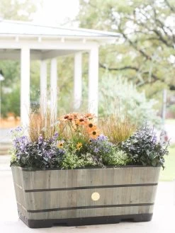 VegTrug™ Trough Planters -Gardenhaus Shop 8598402 08880 tif