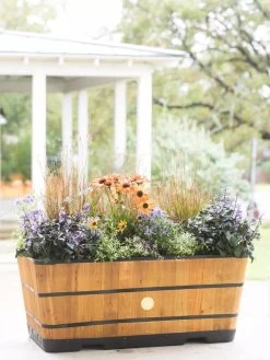 VegTrug™ Trough Planters -Gardenhaus Shop 8598402 8880 tif
