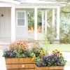 VegTrug™ Trough Planters -Gardenhaus Shop 8598402 8885 tif