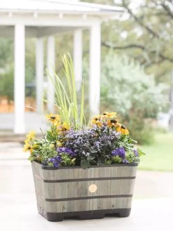 VegTrug™ Trough Planters -Gardenhaus Shop 8598403 08876 tif