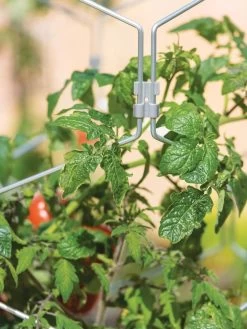 Gardener's Vertex Lifetime Tomato Cage 10 Gardener's Vertex Lifetime Tomato Cage -Gardenhaus Shop 8598426 0011 tif