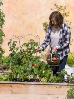 Gardener's Vertex Lifetime Tomato Cage 11 Gardener's Vertex Lifetime Tomato Cage -Gardenhaus Shop 8598426 0026 tif