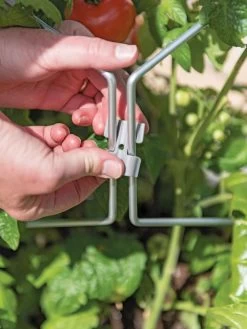 Gardener's Vertex Lifetime Pepper And Eggplant Cage -Gardenhaus Shop 8598426 0084 tif 1