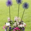 Everbloomin' Alliums, Set Of 3 -Gardenhaus Shop 8598435 9007 tif