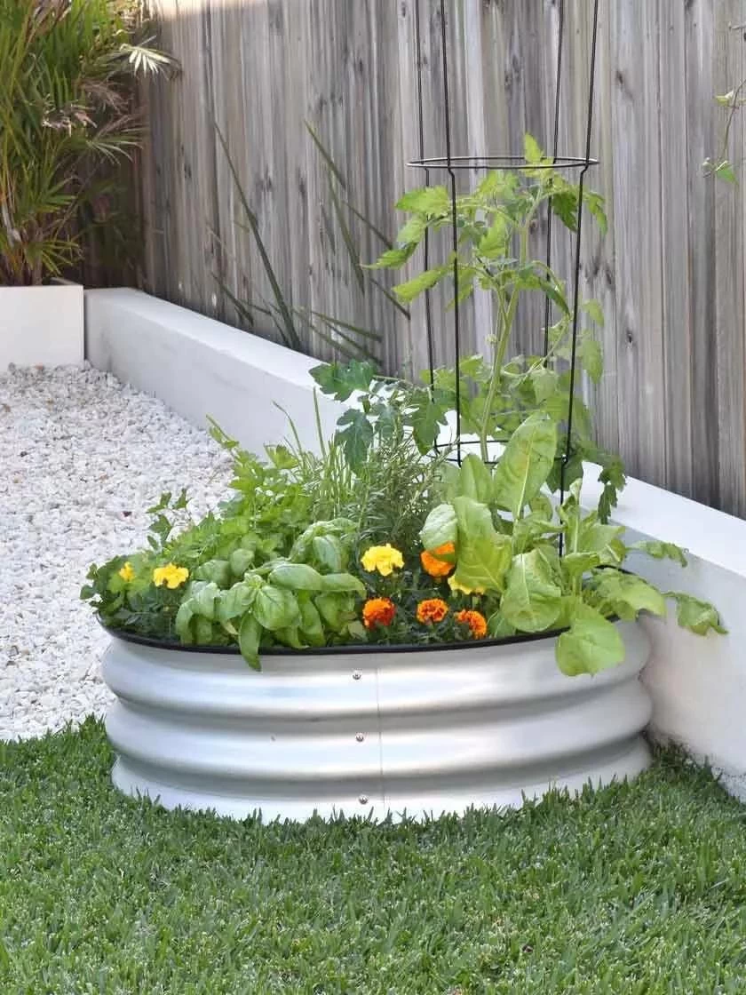 Tree Surround 5 Tree Surround - Image 3