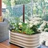 Birdies™ Patio Metal Raised Bed With Base -Gardenhaus Shop 8598449 05V corrugated metal raised garden bed with base for patios decks tif