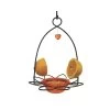 Birds Choice ™ Oriole Flower Feeder 1 Birds Choice ™ Oriole Flower Feeder -Gardenhaus Shop 8598909 01v birds choice oriole flower bird feeder