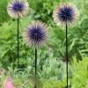Allium Starburst Stake -Gardenhaus Shop 8598981 13717 tif