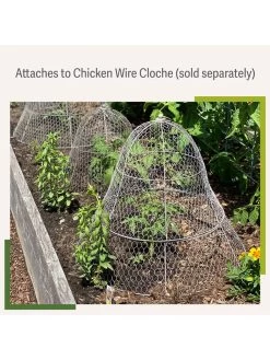 Chicken Wire Cloche Extension -Gardenhaus Shop 8599107 2