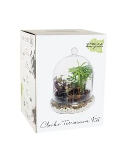 Cloche Terrarium Kit Medium 8 Cloche Terrarium Kit Medium -Gardenhaus Shop 8599148 01v