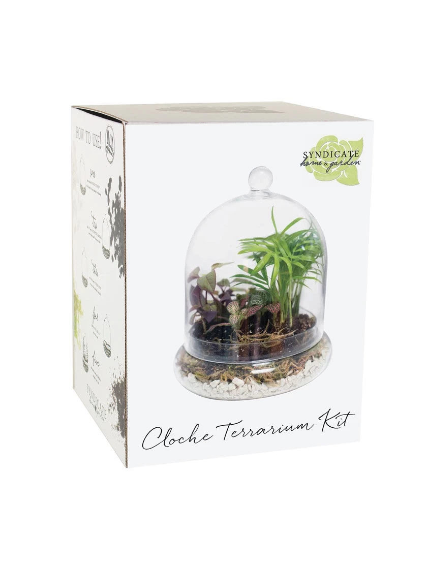 Cloche Terrarium Kit Medium 5 Cloche Terrarium Kit Medium - Image 3