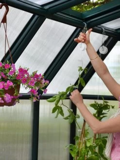 Canopia® By Palram Hobby Gardener Greenhouse, 8' -Gardenhaus Shop 8599331 04V tif