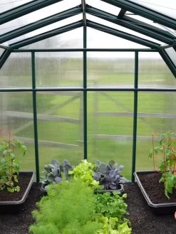 Canopia® By Palram Hobby Gardener Greenhouse, 8' -Gardenhaus Shop 8599331 05V tif