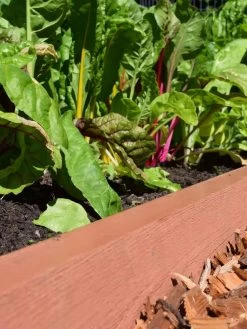 Straight Landscape Edging Kit With 2" Boards -Gardenhaus Shop 8599408 02V tif