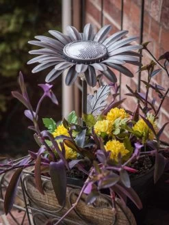 Desert Steel Daisy Solar Light 9 Desert Steel Daisy Solar Light -Gardenhaus Shop 8599556 01V tif