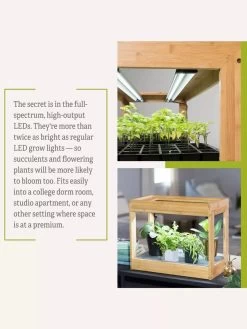 Bamboo Mini LED Grow Light Garden -Gardenhaus Shop 8599624 06