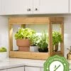Bamboo Mini LED Grow Light Garden -Gardenhaus Shop 8599624 2i