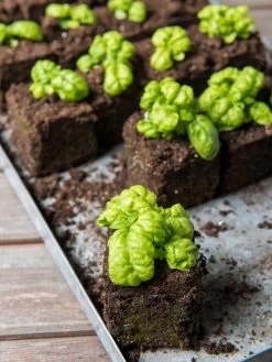 Soil Blocker, 4 Cell -Gardenhaus Shop 8599790 1057 tif