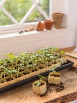 Paper Pots, 50 Cell -Gardenhaus Shop 8599830 0502 paper pots 50 cell tif