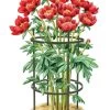 Titan Peony Supports, Medium, Set Of 2 2 Titan Peony Supports, Medium, Set Of 2 -Gardenhaus Shop 8599858 0001 art tif