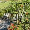 Titan Tomato Cages, Set Of 3 2 Titan Tomato Cages, Set Of 3 -Gardenhaus Shop 8599861 0049 tif