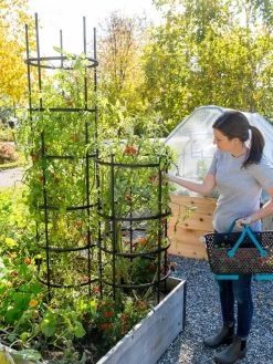 Titan Tomato Cages, Set Of 3 -Gardenhaus Shop 8599861 0114 tif