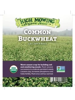 Common Buckwheat Organic Seeds -Gardenhaus Shop 8599871 04v