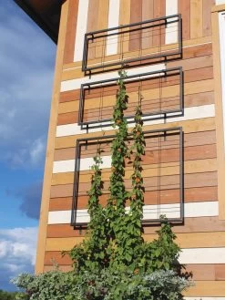 Exeter Wall Trellis -Gardenhaus Shop 8600049 7121 tif