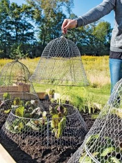Chicken Wire Cloche With Extension 19 Chicken Wire Cloche With Extension -Gardenhaus Shop 8600116 0604 3 4