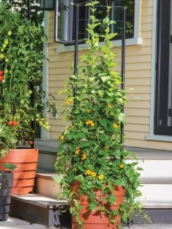 Gardener’s Victory Self-Watering Planter Garden With Vine Trellis -Gardenhaus Shop 8600175 0733 tif 1