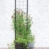 Gardener’s Victory Self-Watering Planter With Vine Trellis -Gardenhaus Shop 8600177 05490 tif