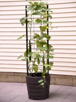 Gardener’s Victory Self-Watering Planter Garden With Vine Trellis -Gardenhaus Shop 8600177 9876 tif 1