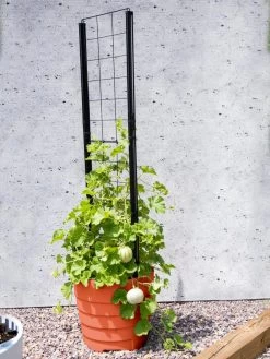 Gardener’s Victory Self-Watering Planter Garden With Vine Trellis -Gardenhaus Shop 8600178 05487 tif