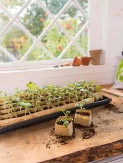 Paper Pots Starter Set -Gardenhaus Shop 8600273 0307 tif