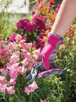 Gardener's Floral Pruning Bypass Shears -Gardenhaus Shop 8600299 19545 tif