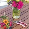 Gardener's Floral Pruning Bypass Shears -Gardenhaus Shop 8600299 19581 tif