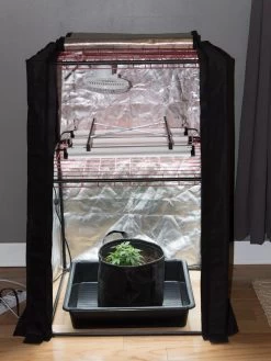 Hemp Grow Kit -Gardenhaus Shop 8600301 0590 tif