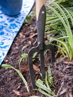 Gardener’s Lifetime Perennial Fork With Short T-Handle -Gardenhaus Shop 8600311 3434 tif