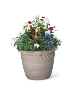 Cortina Self-Watering Planters 14 Cortina Self-Watering Planters -Gardenhaus Shop 8600315 19839 tif