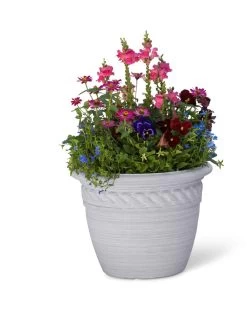 Cortina Self-Watering Planters 13 Cortina Self-Watering Planters -Gardenhaus Shop 8600316 19838 tif