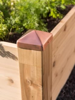 Copper Cap Raised Beds 11 Copper Cap Raised Beds -Gardenhaus Shop 8600496 0564 tif