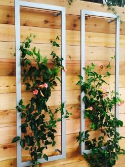 Ina Modern Wall Trellis Sr. -Gardenhaus Shop 8600510 06V tif