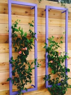 Ina Modern Wall Trellis Sr. -Gardenhaus Shop 8600510 07V tif