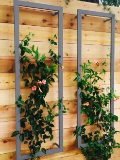 Ina Modern Wall Trellis Sr. -Gardenhaus Shop 8600510 08V jpg