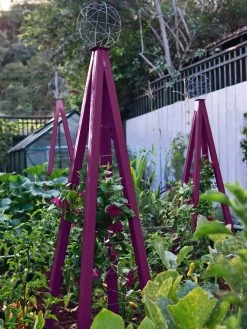 Akoris Garden Tuteur Jr. 15 Akoris Garden Tuteur Jr. -Gardenhaus Shop 8600517 01V akoris garden tuteur tif