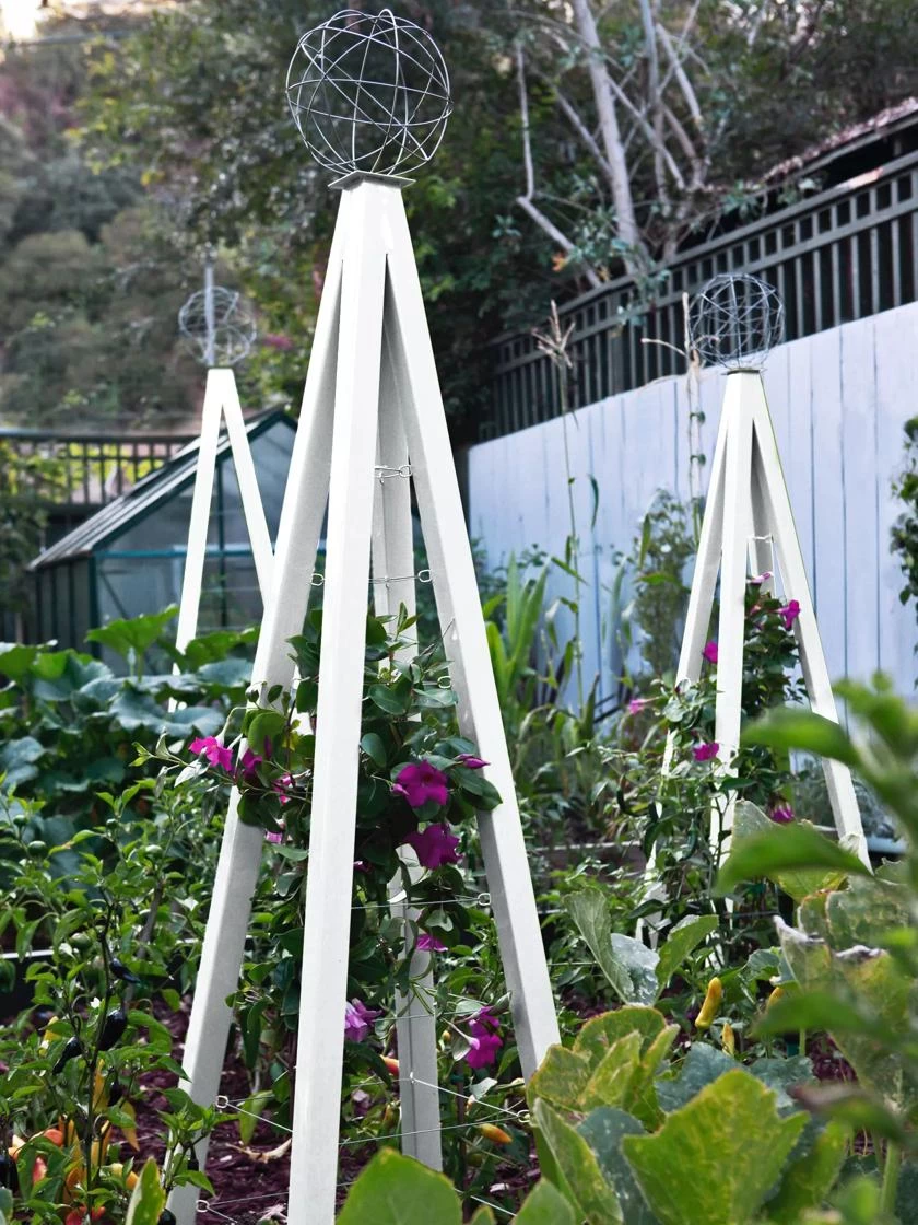 Akoris Garden Tuteur Jr. 10 Akoris Garden Tuteur Jr. - Image 8