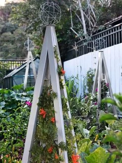 Akoris Garden Tuteur Jr. 14 Akoris Garden Tuteur Jr. -Gardenhaus Shop 8600517 07V tif