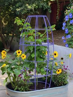 Toki Bubble Trellis -Gardenhaus Shop 8600520 02V tif