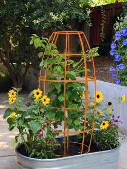 Toki Bubble Trellis -Gardenhaus Shop 8600520 03V tif